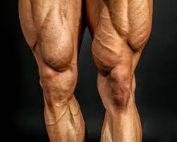 Best Leg Workouts for Bigger Legs