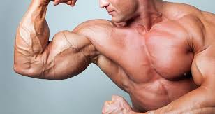 Best Bicep Workouts for Bigger Arms